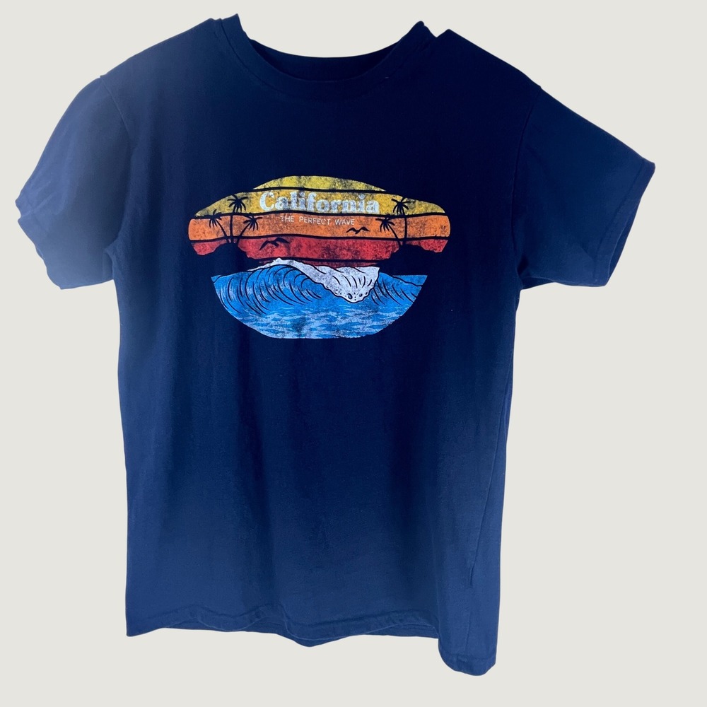 Brisco Brands California The Perfect Wave Graphic T-Shirt Navy Blue Mens Medium